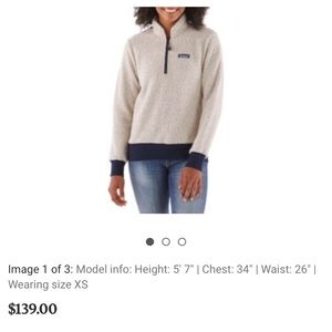 Patagonia Woolyester Pullover